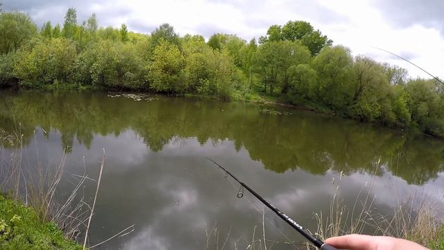 Рыбалка на спиннинг в Туле май июнь 2020 смотреть онлайн