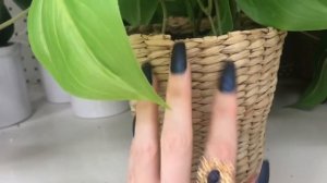 ASMR * Tapping through TARGET!!! * Tapping & Scratching * Fast Tapping * No Talking * ASMRVilla