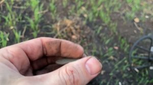 ЧЕШУЯ Ивана Грозного!  Nokta SIMPLEX ULTRA в деле!