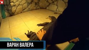 На крокодиловой ферме. Рептилии. Террариум. Часть 2