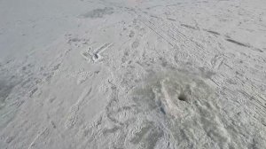 Рыбалка на Десногорском водохранилище !!! 19.03.2022