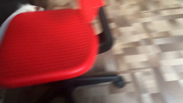 Где хвост смотреть онлайн