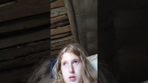 Рисунок баку пожирателя снов