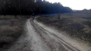 иж планета спорт.(пес)