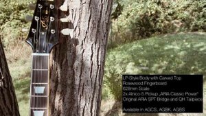 ARIA PRO II PE-350STD Series - Brown Sunburst