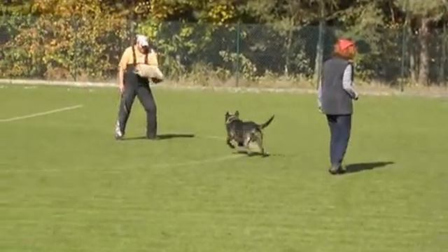 Barack of Dark Doom 2 years смотреть онлайн