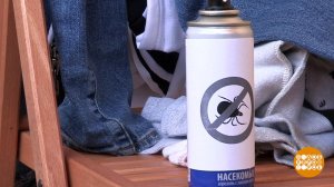 Как уберечься от клещей. Доброе утро. Фрагмент выпуска от 17.05.2019