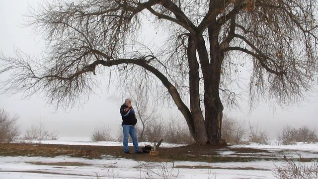Туман смотреть онлайн