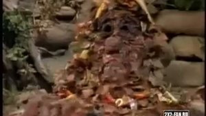 Промо Гора Фрэгглов