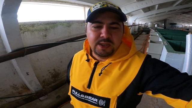 Чиктоник и Ганаминовит / Витамины для Осетровых смотреть онлайн