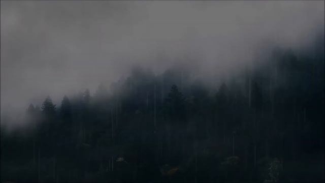 LLUVIA RELAJANTE PARA DORMIR Y DESCANSAR 1 HORA Rain Sound for Sleeping Relaxing ASMR #42