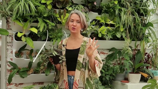 Мучнистый червец - что за вредитель, как узнать, где искать и как бороться смотреть онлайн