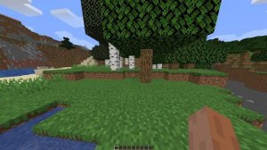 Minecraft java test