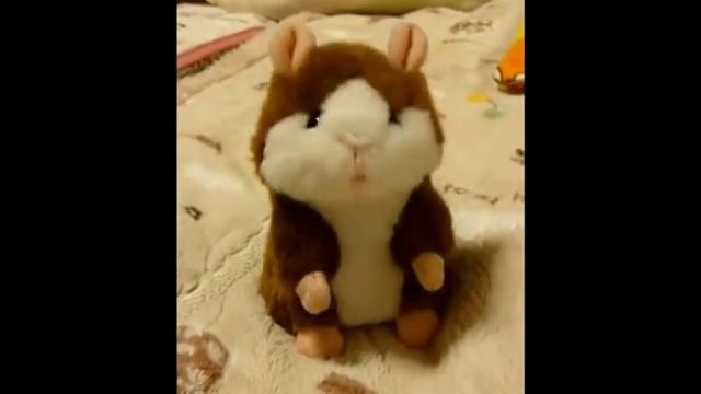 Говорящий хомяк поет песенку!!!) смотреть онлайн