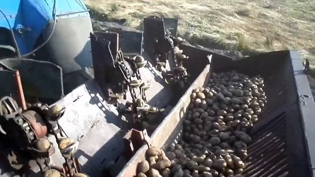 посадка картофеля картофелесажалкой л-204