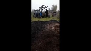 Медведь  Вскрыл могилу. Кугарчинский район РБ