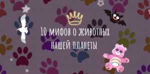 10 мифов о животных нашей планеты