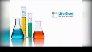 окно возможностей открыто прямо сейчас инфобизнес