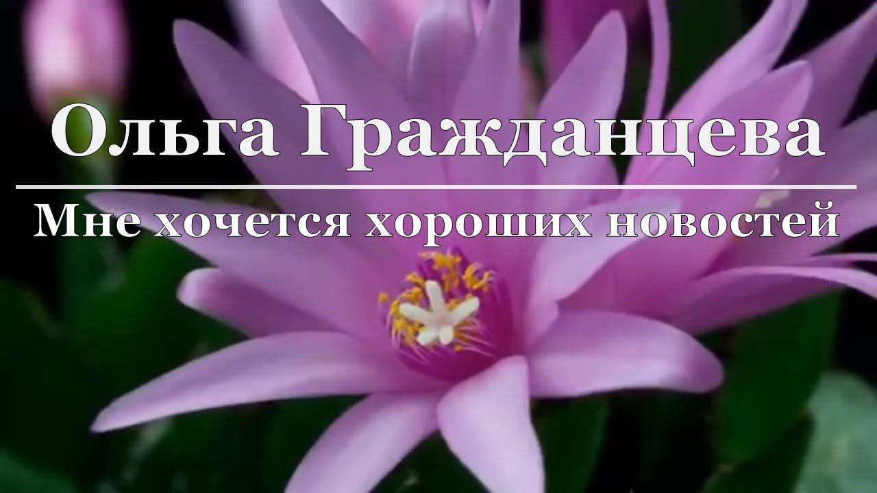 Ольга Гражданцева - Мне хочется хороших новостей