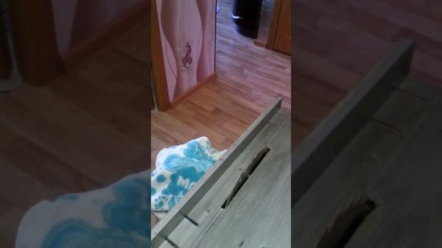стол для циркулярной пилы своими руками из алюминия .