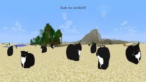 Maxwell cat in Minecraft desert 360°