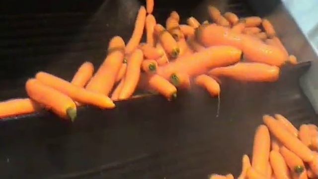 Мойка моркови и калибровка по диаметру смотреть онлайн