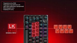 Игровая клавиатура Bloody B810R