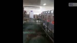 Линия для шоковой заморозки ягод