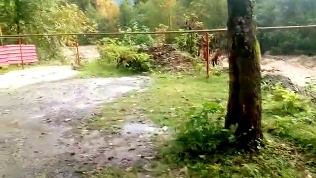 река вышла из берегов смотреть онлайн