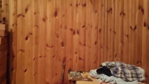 Воевода 20 (продолжение)