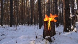 "ФИНСКАЯ СВЕЧА" бензопилой | часть 3 | Шведское бревно | Индейская/Скандинавская свеча |  Волья