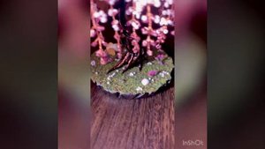 Глициния из бисера.