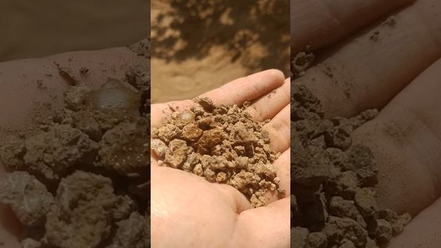 7. Описание почвенных горизонтов. Проверка на вскипание почв от соляной кислоты смотреть онлайн