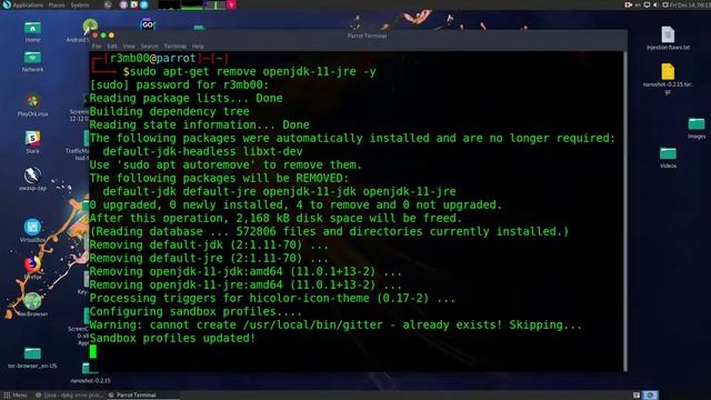 How completelly remove java openjdk 11 from Parrot Security Linux смотреть онлайн