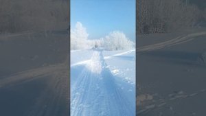 Барс 7л.с.модуль закреплен жестко.вынесен вперед.вариатор форвард ,доработан.