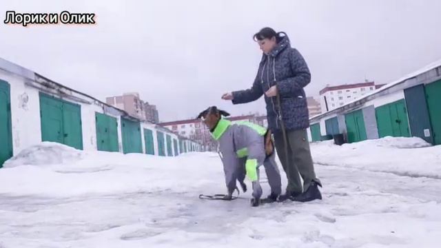 Комбинезон для добермана. Первая примерка и после переделки. смотреть онлайн