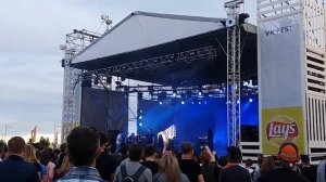 Animal jazz три полоски vkfest