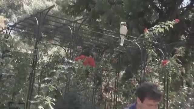 The Garden Gurus - Scotts Feed your Plants  Feed the Soil