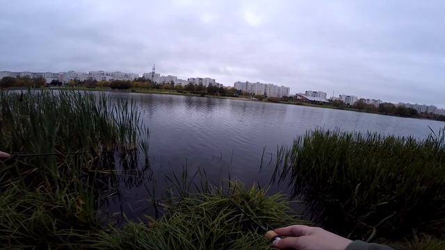 Ловля Окуня на Тейл Спиннеры! Ультралайт на домашнем пруду.