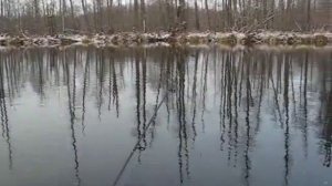 рыбалка в нижегородской области