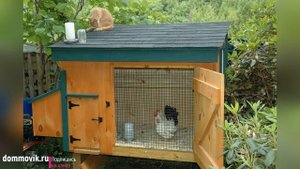 Домик для кур своими руками: 70 примеров, для вдохновения