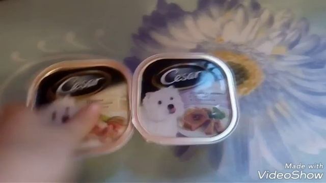 Подарки моим животным уже дарят смотреть онлайн