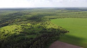 Это всё окружает наш деревенский дом прадеда. Вятская природа