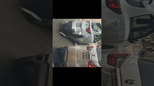 Интересные номера смотреть онлайн