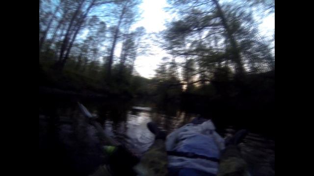 белка стрелка чернушка и звёздочка