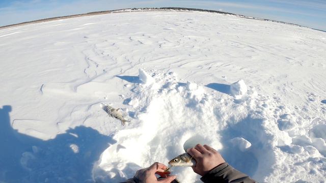 Рыбалка под музыку.