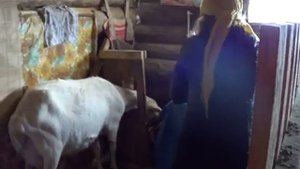 ШОК //КАК ПОДНЯТЬ УДОЙ С 1 ДО 4 ЛИТРОВ //КАК БЫСТРО ПОДНЯТЬ УДОЙ//ОГРОМНЫЙ УДОЙ У КОЗ/ 4 Л МОЛОКА/