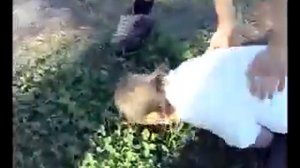 Ватафак мазафака