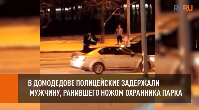 В Домодедове неадекватный мужчина ранил ножом охранника парка
