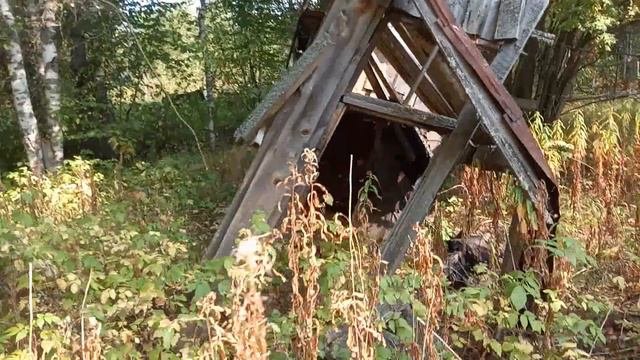 Заброшенный лагерный поселок Западный. ВЯТЛАГ,  20 лет спустя лет после закрытия.
